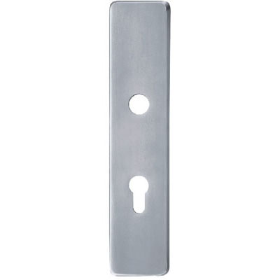 Stainless Steel Handle Plate